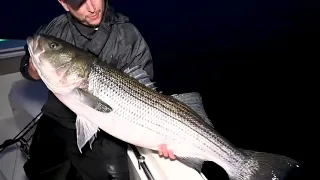 Huge Striped Bass at Block Island using artificial Lures.