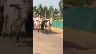 ಹೂವಿನ ಹೊಳೆ