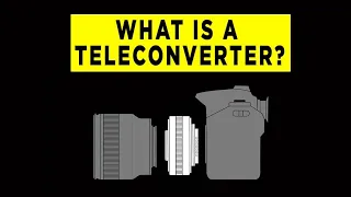 What is a Teleconverter? - Photography PX