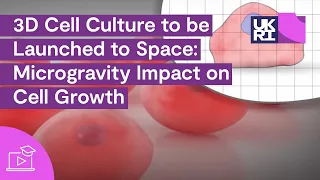 3D #CellCulture to be Launched to #SpaceStation: Microgravity Impact on #CellGrowth & Communication