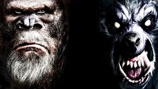 12 BIGFOOT & DOGMAN ENCOUNTERS