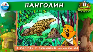 🦡 Панголин | В гостях у дядюшки Филина (🎧 АУДИОСКАЗКА) Выпуск 9