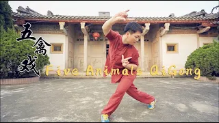Five Animals QiGong | 14 Days FREE online learning with Master Ping