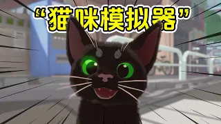 小猫咪大城市：第一次当猫，也太有趣了吧！