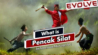 What is Pencak Silat | Penchak SIlat | Indonesian Martial Arts | EVOLVE