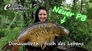 Carphontas Vlog 5 | Donauwörth und der Fisch des Lebens