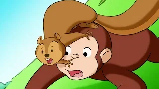 Georges le Petit Singe en Francais 🐵De L'Eau À Tout Prix 🐵Saison 1  🐵Dessin Animé 🐵Animation