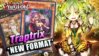 YU-GI-OH! *BEST* TRAPTRIX DECK PROFILE! NEW FORMAT IN-DEPTH DECK PROFILE! 2024