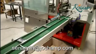 Hookah tobacco cartoning packaging machine production line wrapping