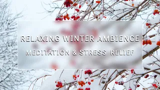 1 HOUR Winter Ambience With Relaxing Music For Meditation, Study, Sleep, Stress Relief & Relaxation