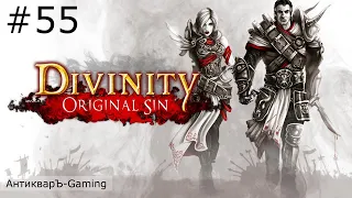 Divinity: Original Sin Enhanced Edition. Прохождение. Серия №55