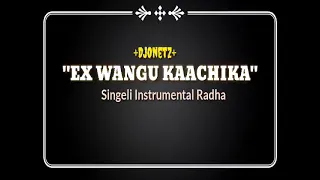 EX WANGU KAACHIKA|Singeli Instrumental Radha 2022 ByDjOnetz