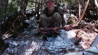 Elk Shed Hunting 2024 [Part 1]