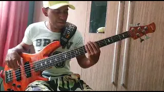 presepada Marília Mendonça (bass cover)