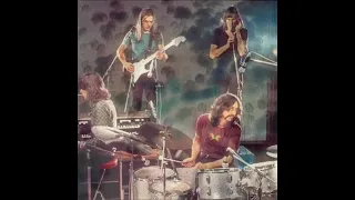 Obscured By Clouds (live)