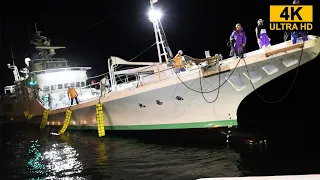 Bonito fishing vessel shipping work and auction video at the fish market