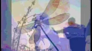 FLEETWOOD MAC : DRAGONFLY : SAN BERNARDINO 1971 .