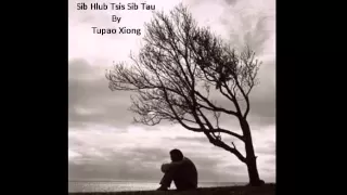 Tupao Xiong - Sib Hlub Tsis Sib Tau (Cover)