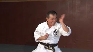 Shisochin - Okinawa Karate Goju Ryu Kata