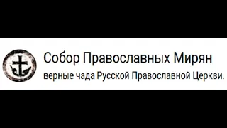 «Собор Православных Мирян, цели, задачи и перспективы» круглый стол в г. Омске