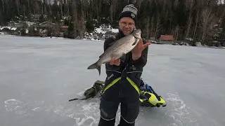 Pilkkikauden 2024 päätös - Siika ennätykset paukkuu ja tuttu tekniikka toimii!