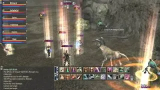 Lineage II dvp 01.11.06