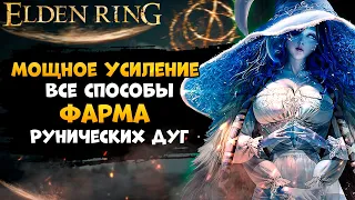 Как Усилить Персонажа или  Все Виды Фарма Рунических Дуг ➜ Elden Ring