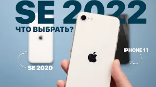 Что выбрать? iPhone SE 2020 vs iPHONE SE 2022 vs iPhone 11