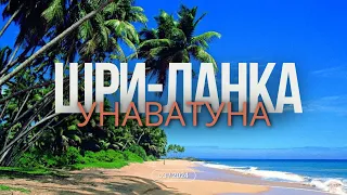 Шри-Ланка, Унаватуна. Март 2024.