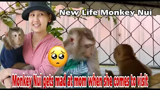 Baby monkey Nui & Poni gets mad at mom when he comes to visit