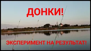 Рыбалка. Кони на донки! #донки #казахстан #караганда