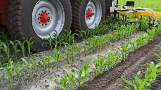 Evers междурядная обработка кукурузы с внесением жидкого навоза