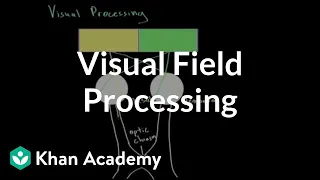 Visual field processing | Processing the Environment | MCAT | Khan Academy