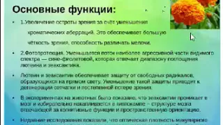 Вебинар - Новый продукт ВИТАМАКС - "Азбука витаминов плюс детские витамины для глаз"