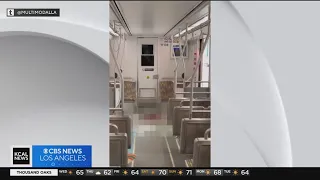 1 person stabbed to death on Metro train in Long Beach