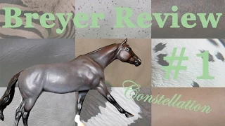 UNFORGETTTABLE  EXPERIENCE AT THE CUSTOM OFFICE - Breyer Review #1 ~ Constellation