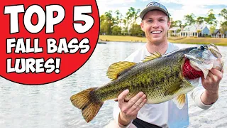 The 5 BEST fall bass fishing lures!!! (2020)