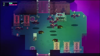 Hyper Light Drifter