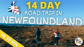 14 DAY CAMPERVAN ROAD TRIP ACROSS NEWFOUNDLAND