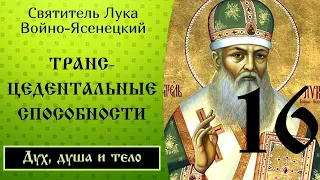 16/24 Трансцедентальные духовные способности. Ч.1 ☦️ Лука Войно-Ясенецкий