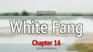 White Fang Audiobook Chapter 16