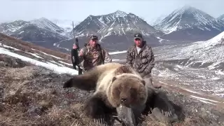 Grizzly Bear Hunt - Stuck N The Rut