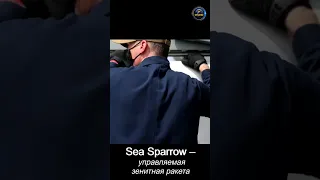 RIM 7 Sea Sparrow (морской воробей) - зенитгая ракета для ЗРК Бук.