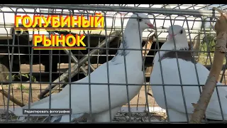 Голубиный рынок в Астрахани!