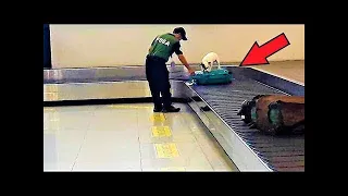Pes štěkal jako pominutý na opuštěná zavazadla! Když je zaměstnanci otevřeli, zůstal jim rozum stát!