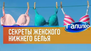 Галилео 👙 Секреты женского нижнего белья