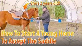 How To Start A 2 Year Old Horse For Saddle Work (Part 1)