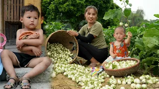 Single girl cooks nutritious porridge and feeds her children - Harvests white eggplants to sell