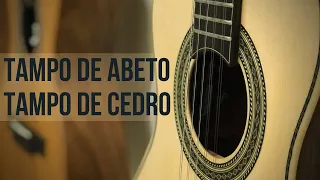 TESTE COMPARATIVO: Cedro e Abeto no TAMPO da Viola Caipira