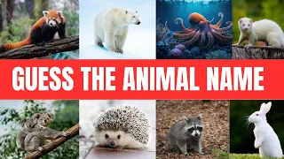 Guess 20 Animals in 10 Seconds  Easy, Medium, Hard, Impossible